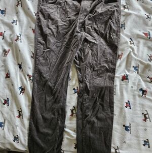 Loft Women's Curduroy Pants